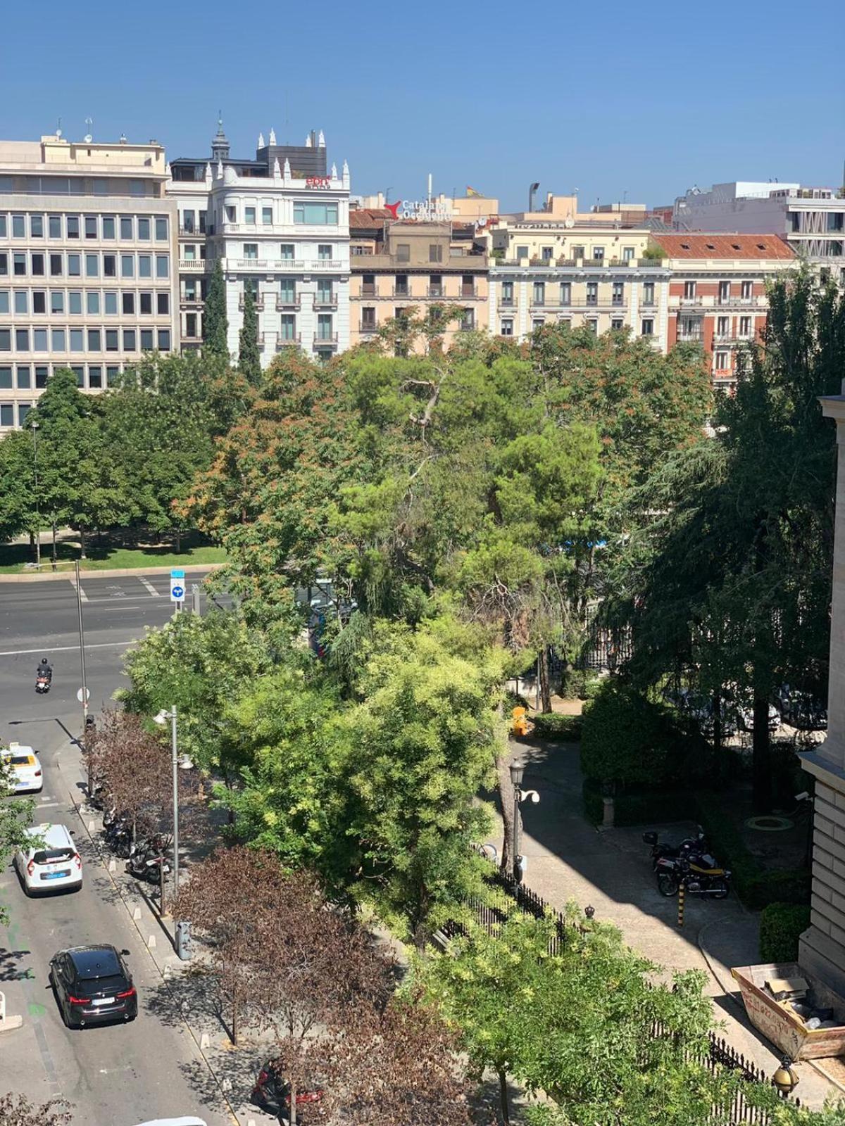 Luxury Studio Retiro Park & Prado Museum Madrid Exterior foto